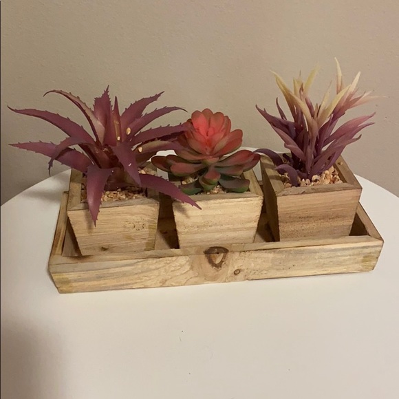 Other - Tabletop Greenery